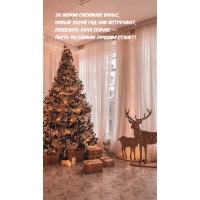 �� ����� �������� �����, ����� 2024� ��� ��� ���������