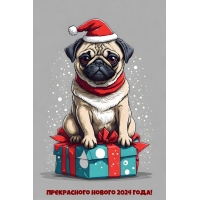 ����������� ������ 2024 ����!