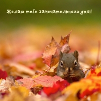 ����� ���� �������������� ���!