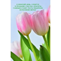 � ������� ����, 8 �����! � �������� �������, �������