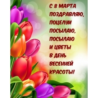 � 8 ����� ����������, ������� �������