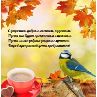 � �������� ������, �������, ��������! ����� ��� ����� ����������