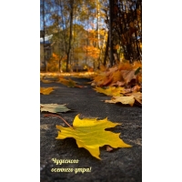 ��������� �������� ����!