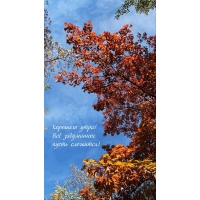 �������� ����! �� ���������� ����� ��������!