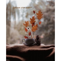 ������ ���� �����!