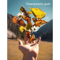 ���������� ���!