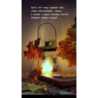 ����� ���� ����� ������� ���� ������ ������������� ������ 