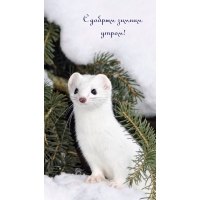 � ������ ������ �����!