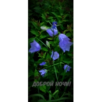 ������ ����!