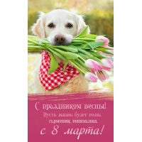 � 8 �����!