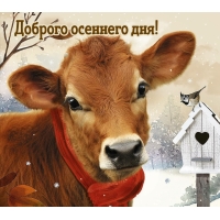 ������� �������� ���!