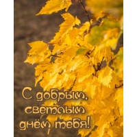 � ������, ������� ���� ����!