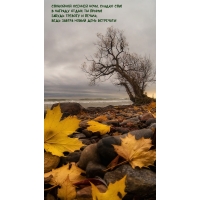 ��������� ������� ����, ������ ���!