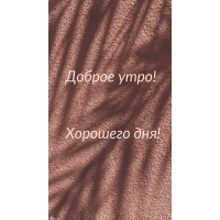 ������ ����! �������� ���!