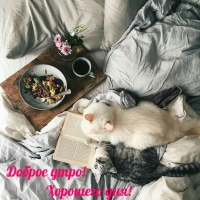 ������ ����! �������� ���!