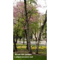 ����� ���� �������� � ������� ��������� ���!