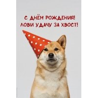 � ���� ��������! ���� ����� �� �����!