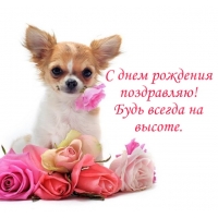 ������� � ���������� ����������� � ���� ��������!