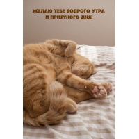 ����� ���� ������� ���� � ��������� ���!