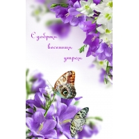 � ������ �������� ������