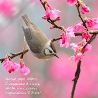 ����� ���� ������� � �������� � ������