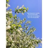 ����� ����, �����������, ���� ����� �� �������!