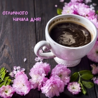 ��������� ������ ���!