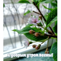 � ������ ����� �����!