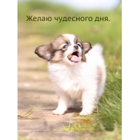 ����� ��������� ���.