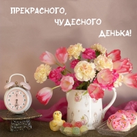 �����������, ��������� ������! 