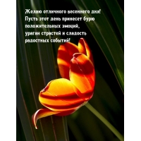 ����� ���� ���� �������� ����  ������������� ������