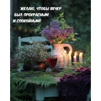 �����, ����� ����� ��� ���������� � ���������!