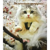 ������������ ����������!