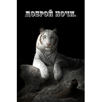 ������ ����.