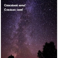 ��������� ����! ������� ����!