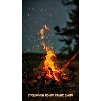 ��������� ����! ����� ����!