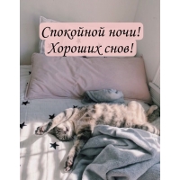 ��������� ����! ������� ����!