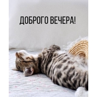 ������� ������!