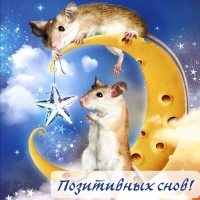 ���������� ����!