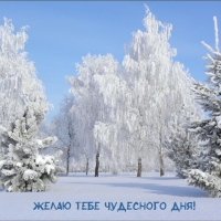 ����� ���� ��������� ���!