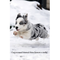 ���������� ������ ���� ����� � ����!