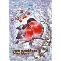 ����� ������ ����� ����� ������!