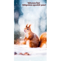 ��������� ���! ���������� �������� ����!