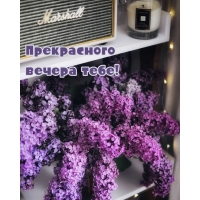 ����������� ������ ����!