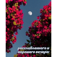 �������������� � �������� ������!