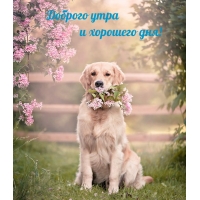 ������� ���� � �������� ���!