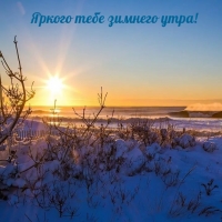 ������ ���� ������� ����!