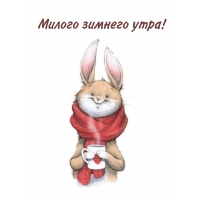 ������ ������� ����!