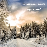 �����������, ������ ���� �����!