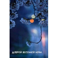 ������ �������� ����.